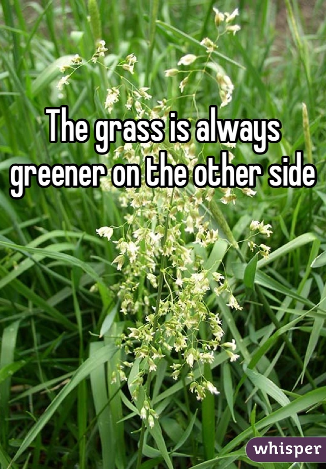 The grass is always greener on the other side