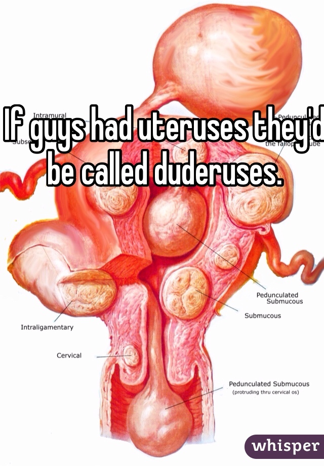 If guys had uteruses they'd be called duderuses. 
