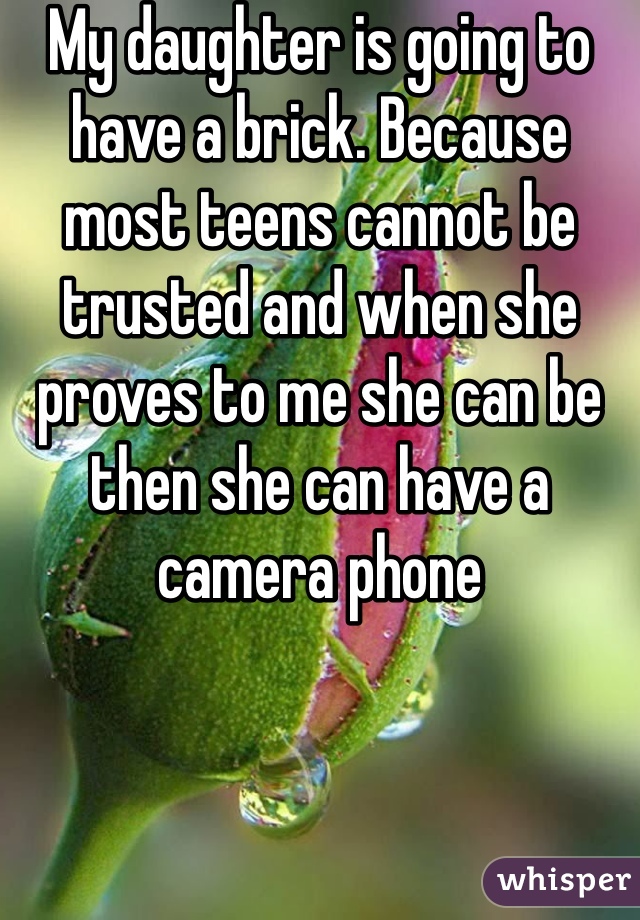My daughter is going to have a brick. Because most teens cannot be trusted and when she proves to me she can be then she can have a camera phone