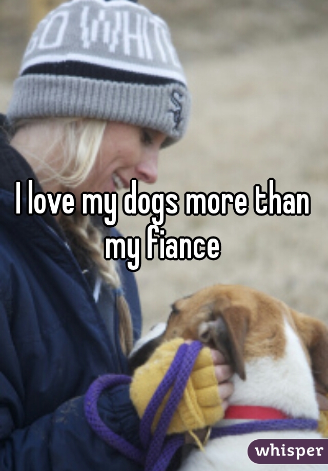 I love my dogs more than my fiance 