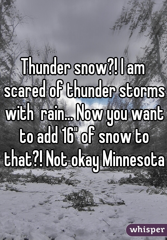 Thunder snow?! I am scared of thunder storms with  rain... Now you want to add 16" of snow to that?! Not okay Minnesota!