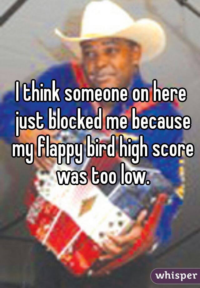 I think someone on here just blocked me because my flappy bird high score was too low.