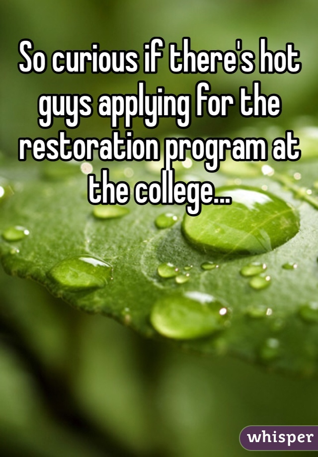 So curious if there's hot guys applying for the restoration program at the college...