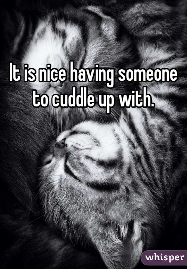 It is nice having someone to cuddle up with.