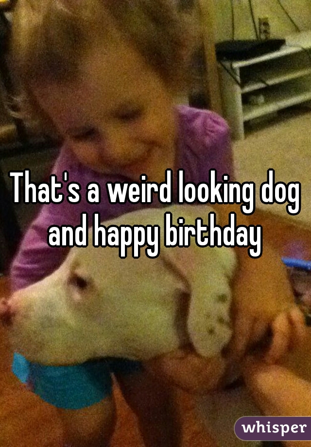 That's a weird looking dog and happy birthday 