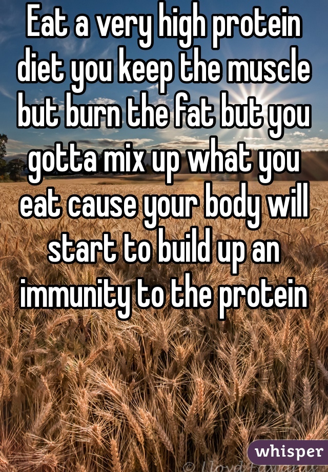 Eat a very high protein diet you keep the muscle but burn the fat but you gotta mix up what you eat cause your body will start to build up an immunity to the protein 