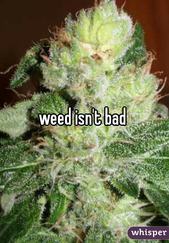 weed isn't bad 