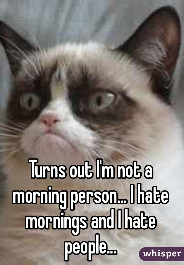 Turns out I'm not a morning person... I hate mornings and I hate people... 
