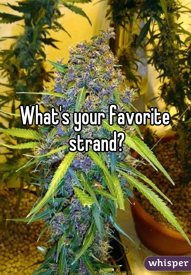 What's your favorite strand?