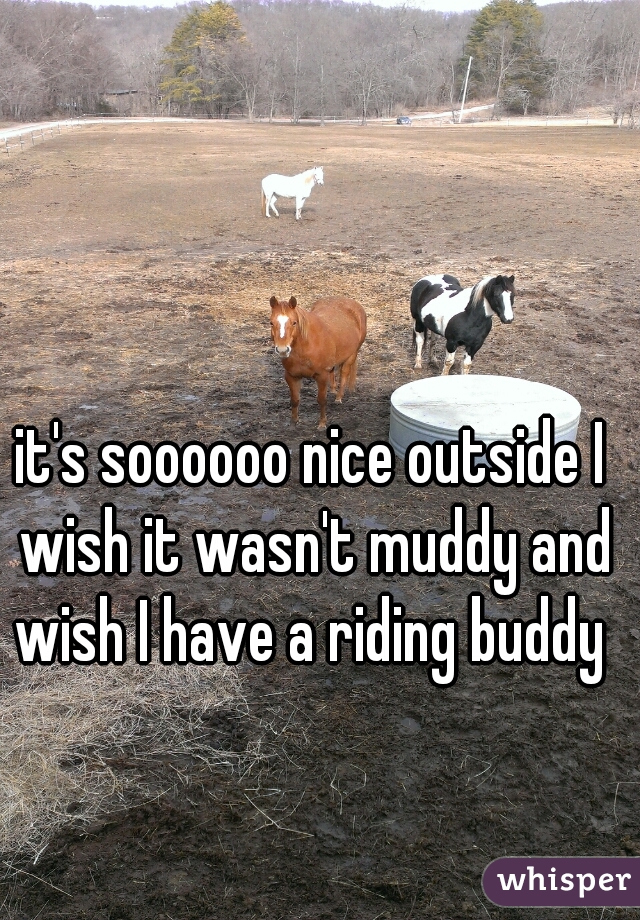it's soooooo nice outside I wish it wasn't muddy and wish I have a riding buddy 