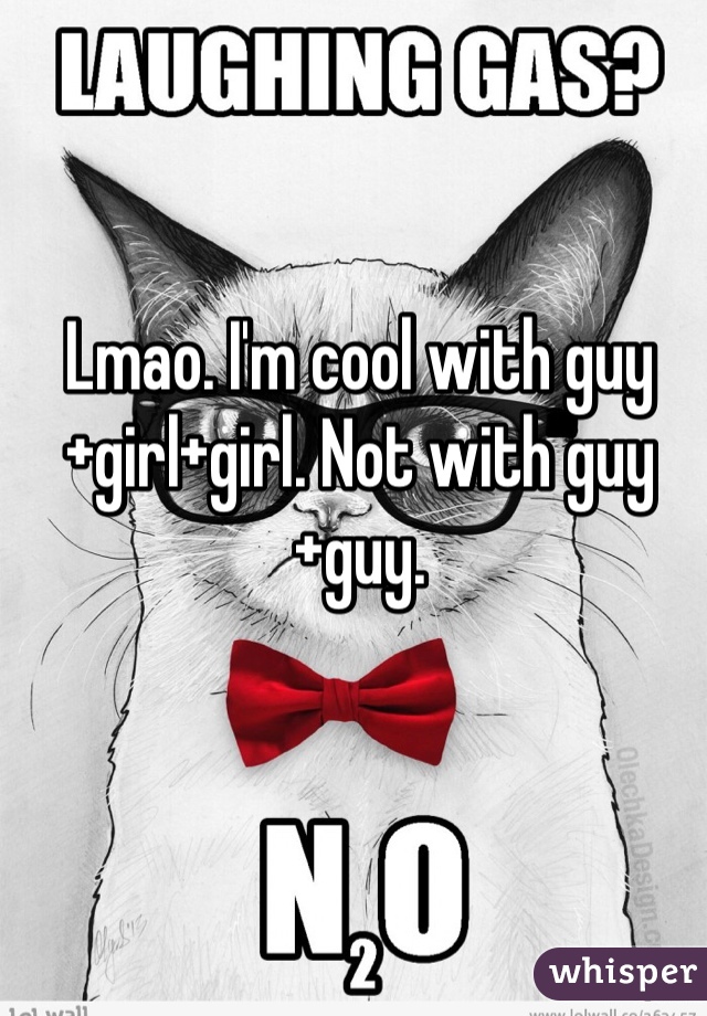 Lmao. I'm cool with guy+girl+girl. Not with guy+guy. 