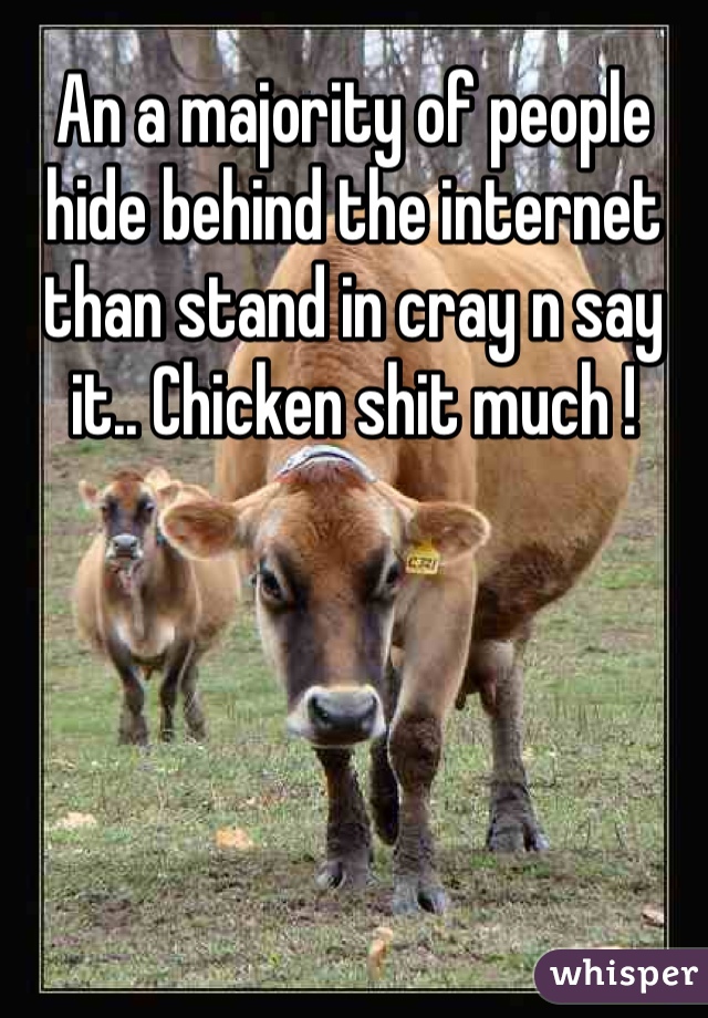 An a majority of people hide behind the internet than stand in cray n say it.. Chicken shit much !