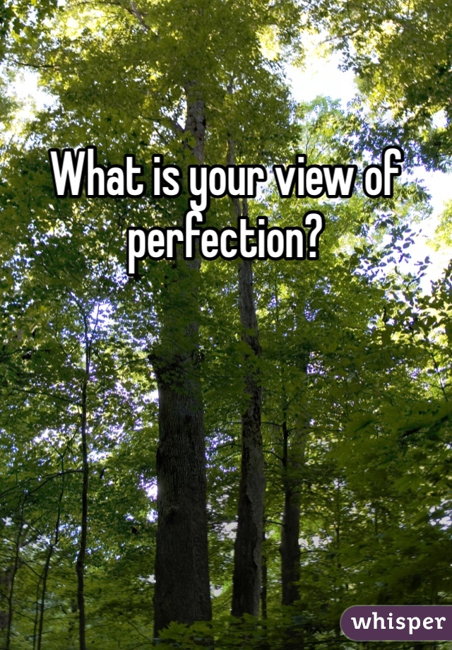 What is your view of perfection?