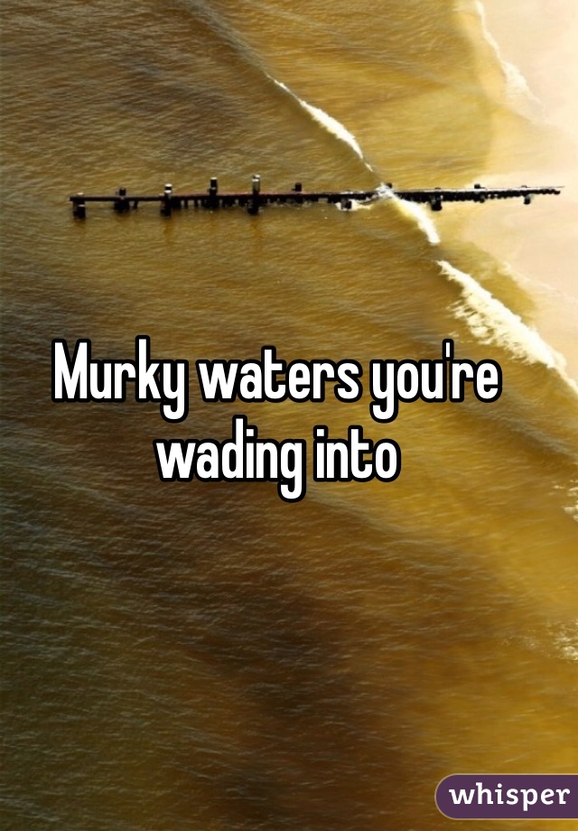 Murky waters you're wading into