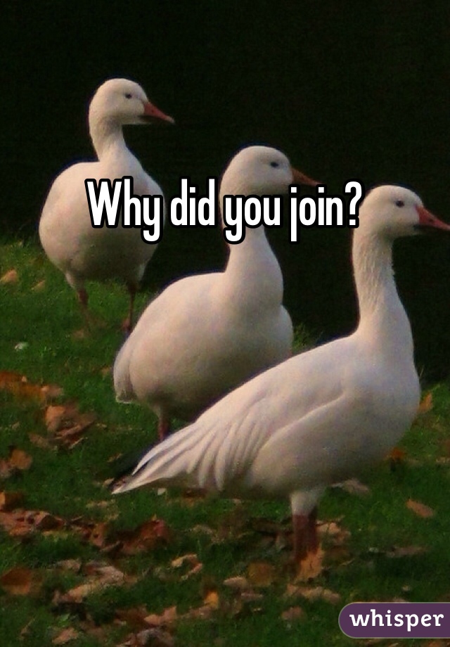 Why did you join? 
