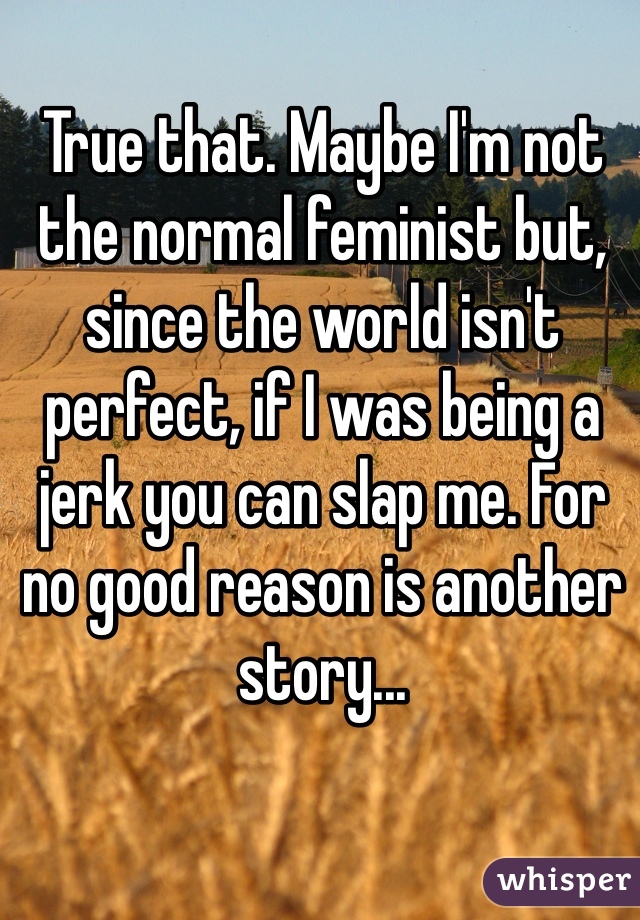 True that. Maybe I'm not the normal feminist but, since the world isn't perfect, if I was being a jerk you can slap me. For no good reason is another story...
