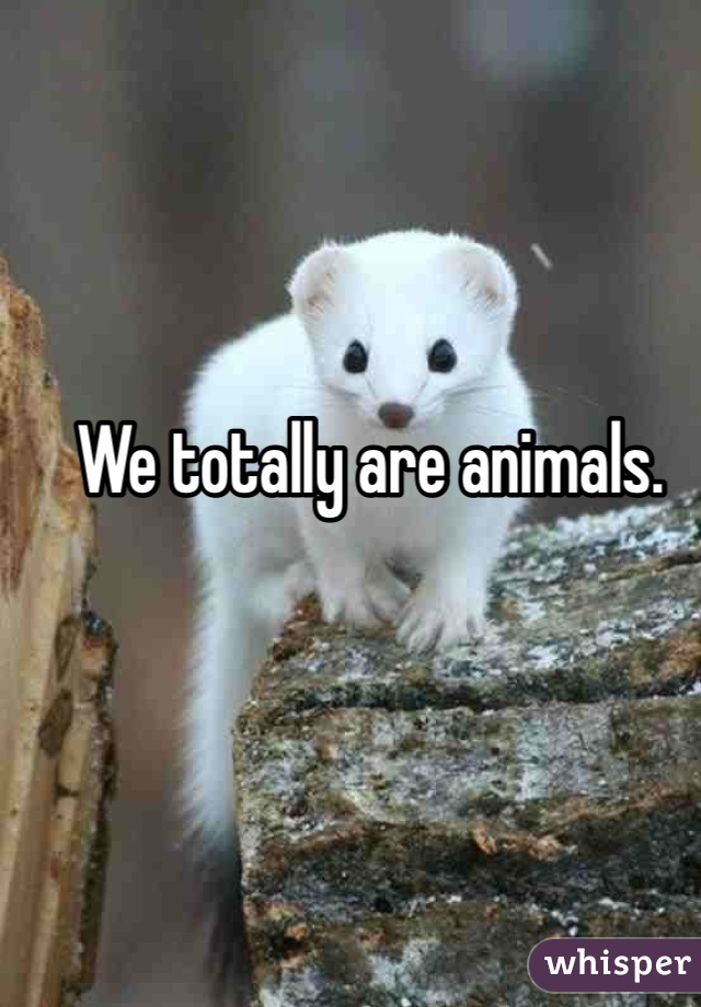 We totally are animals.