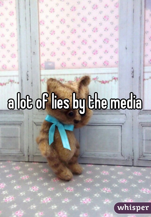 a lot of lies by the media