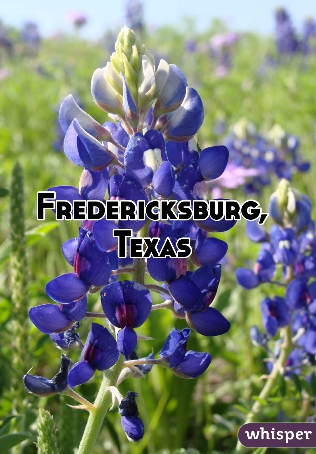 Fredericksburg, Texas 