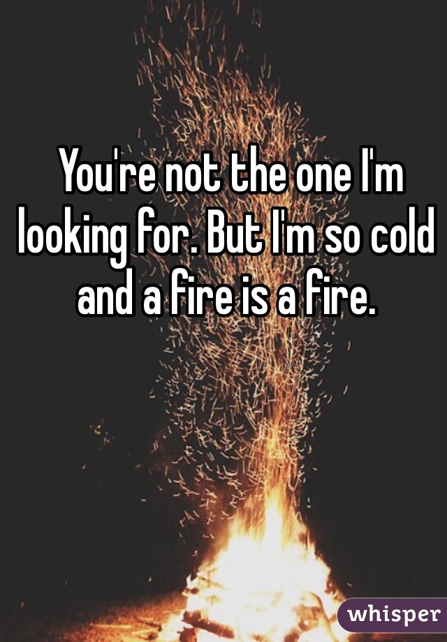  You're not the one I'm looking for. But I'm so cold and a fire is a fire.