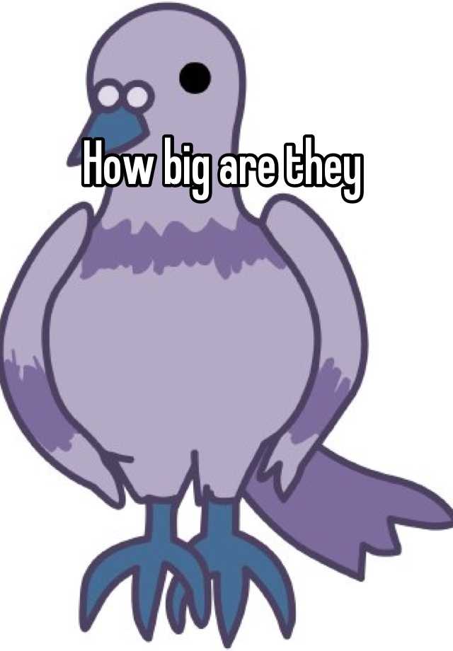 how-big-are-they