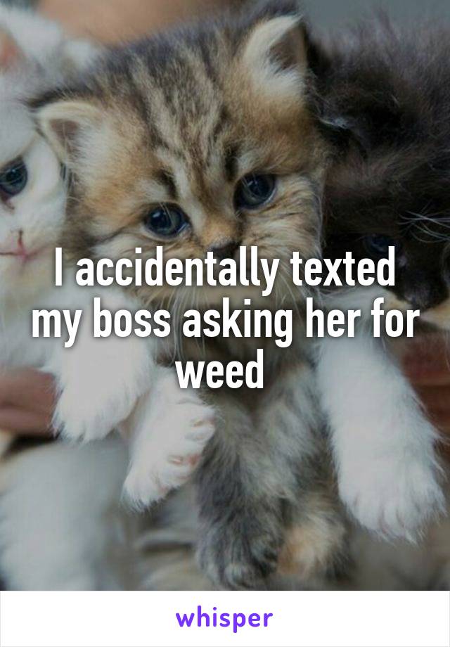 I accidentally texted my boss asking her for weed 