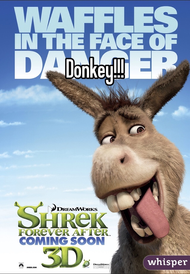 Donkey!!!