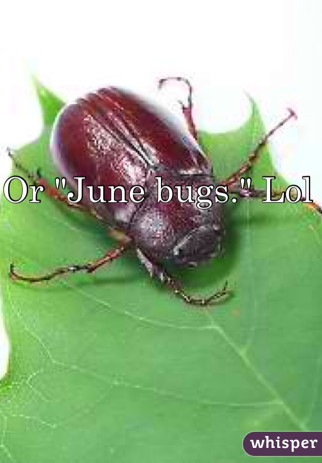 Or "June bugs." Lol 