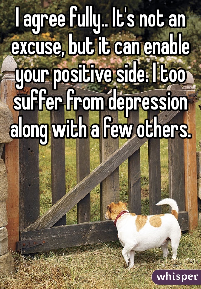 I agree fully.. It's not an excuse, but it can enable your positive side. I too suffer from depression along with a few others. 
