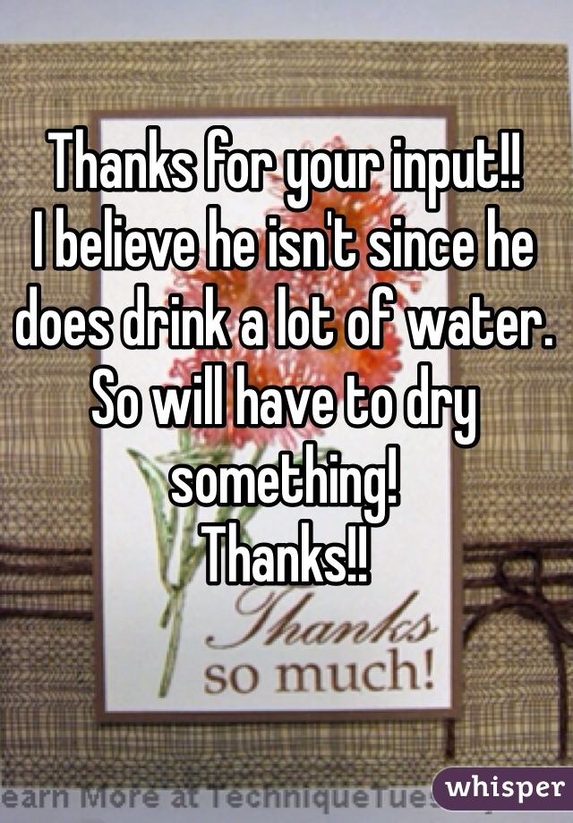Thanks for your input!!
I believe he isn't since he does drink a lot of water. 
So will have to dry something!
Thanks!!