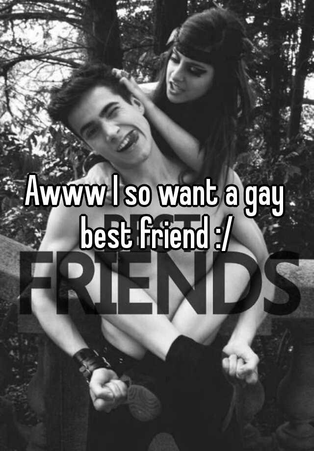 A I So Want A Gay Best Friend 