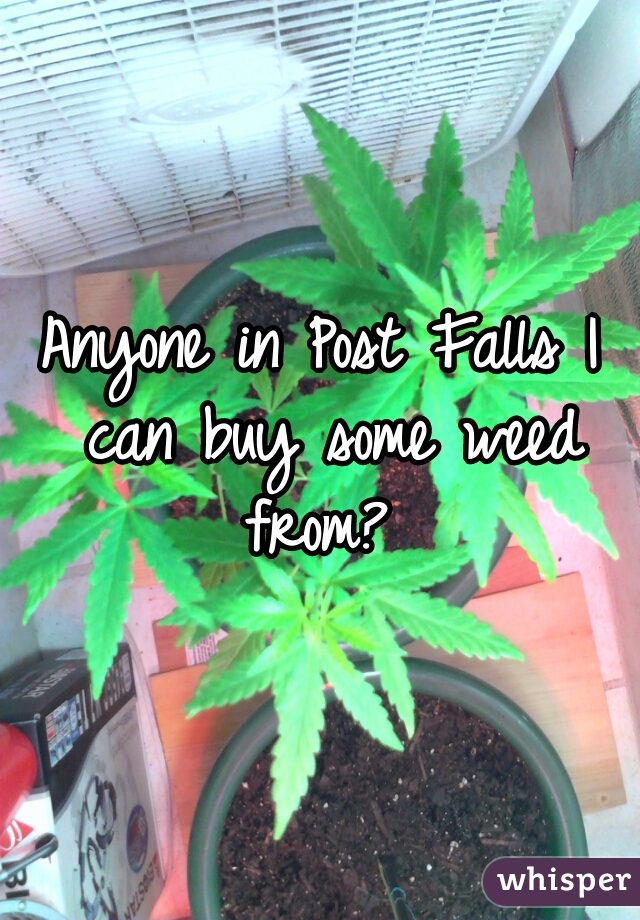 Anyone in Post Falls I can buy some weed from? 