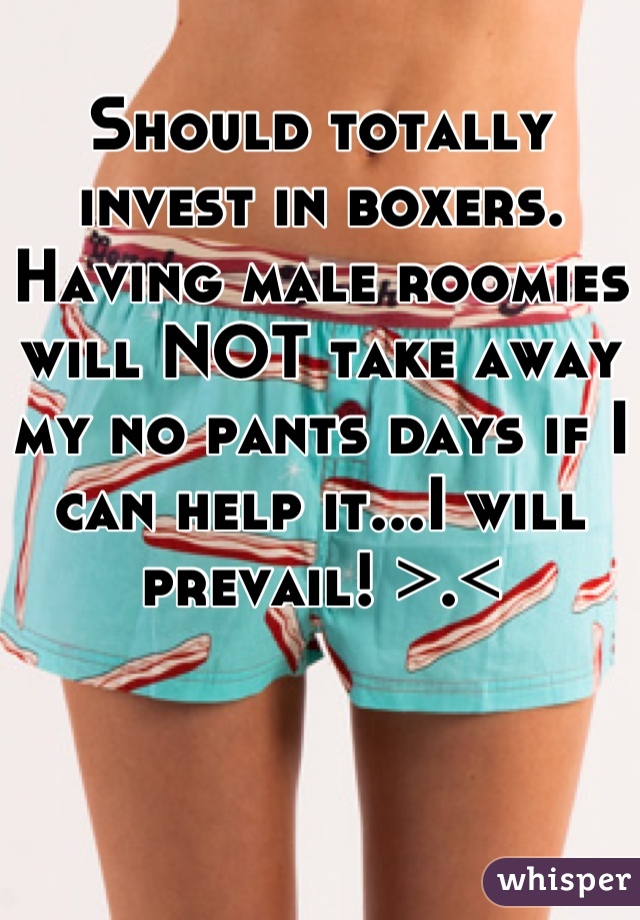 Should totally invest in boxers. Having male roomies will NOT take away my no pants days if I can help it...I will prevail! >.<