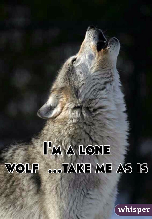 I'm a lone wolf  ...take me as is 