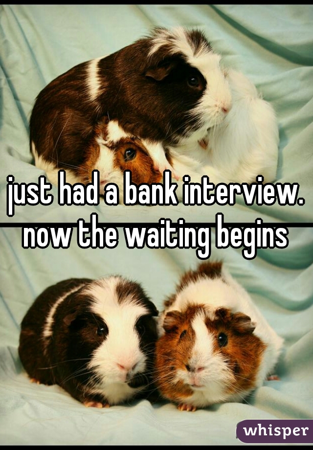 just had a bank interview. now the waiting begins 