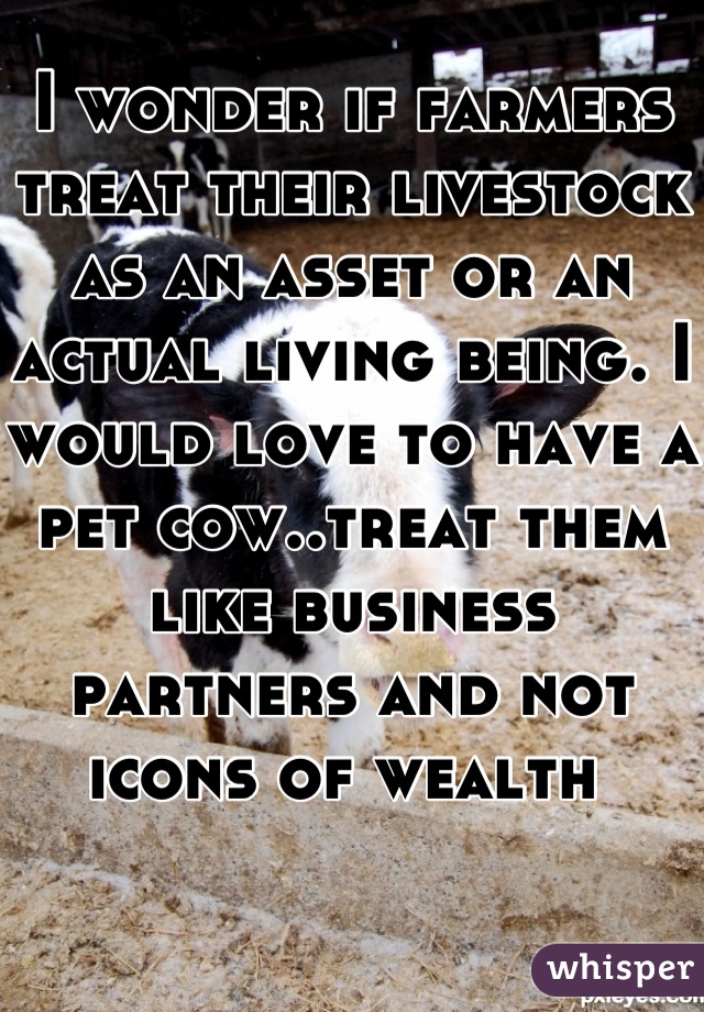 I wonder if farmers treat their livestock as an asset or an actual living being. I would love to have a  pet cow..treat them like business partners and not icons of wealth 