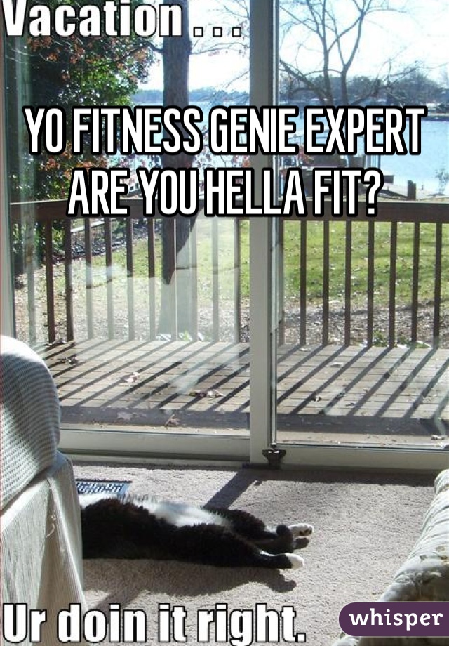 YO FITNESS GENIE EXPERT ARE YOU HELLA FIT? 