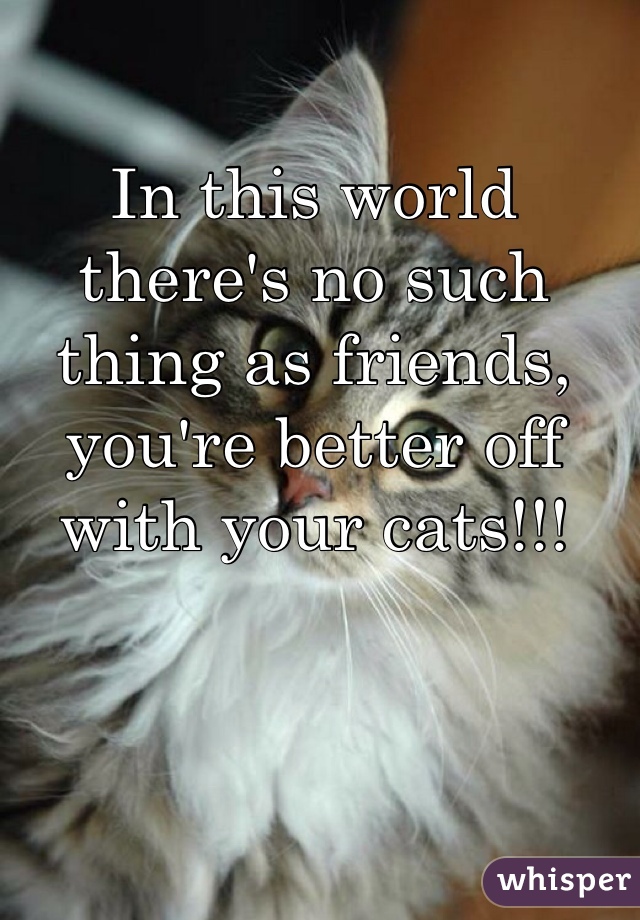 In this world there's no such thing as friends, you're better off with your cats!!!