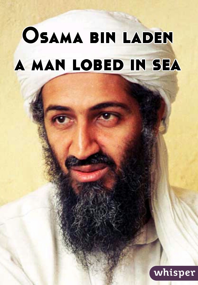 Osama bin laden 
a man lobed in sea 