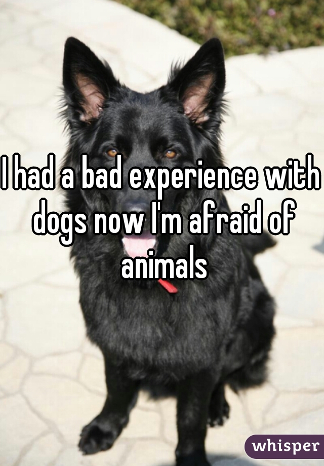 I had a bad experience with dogs now I'm afraid of animals