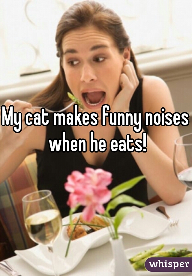 My cat makes funny noises when he eats!