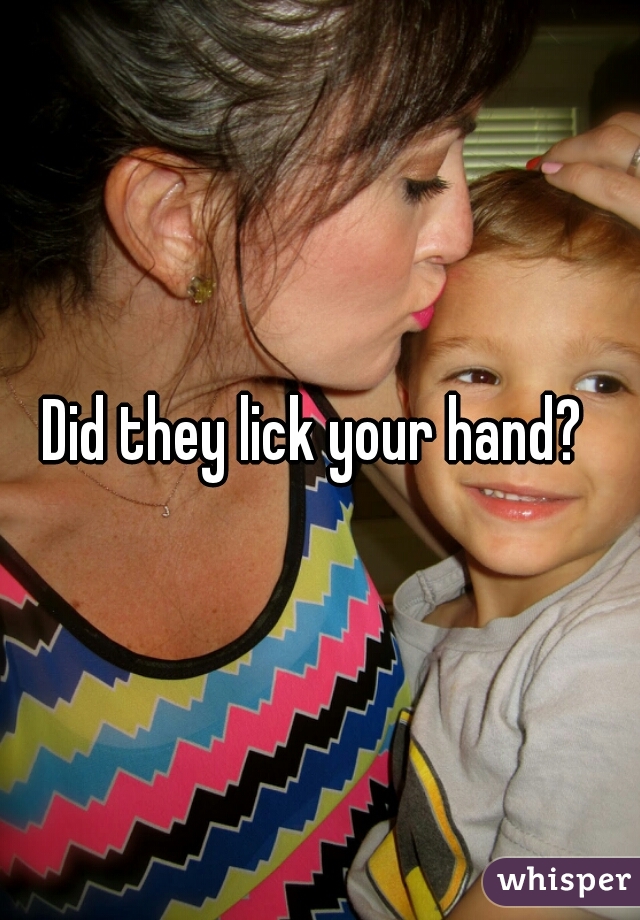 Did they lick your hand? 