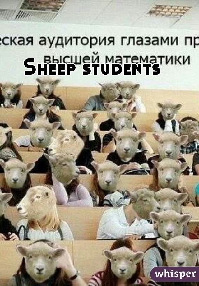 Sheep students