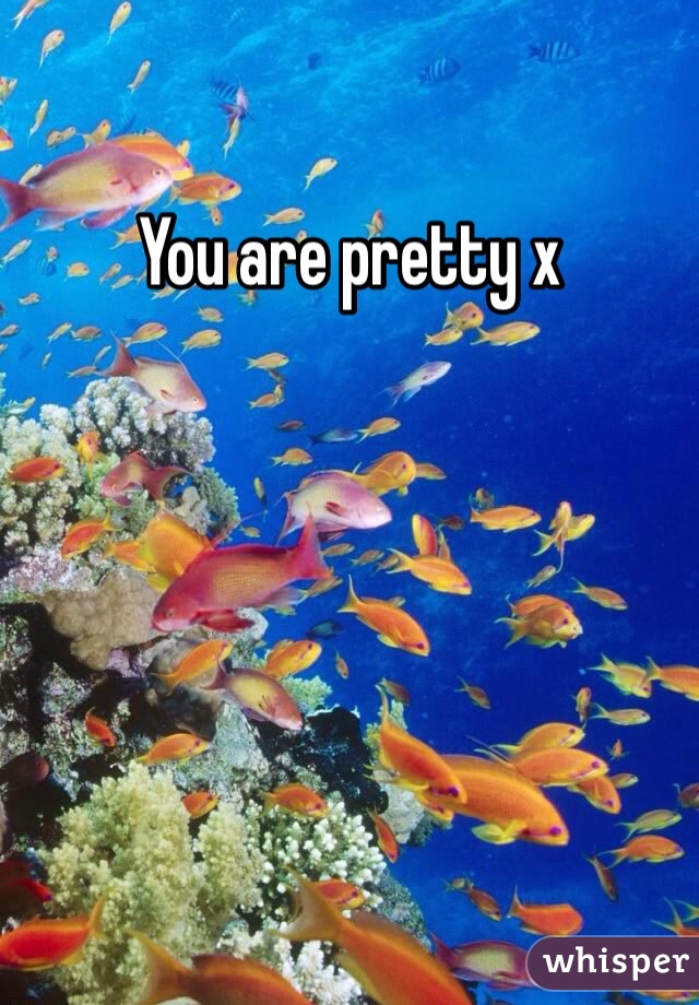 You are pretty x 