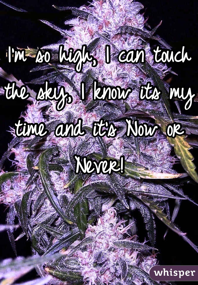 I'm so high, I can touch the sky, I know its my time and it's Now or Never!