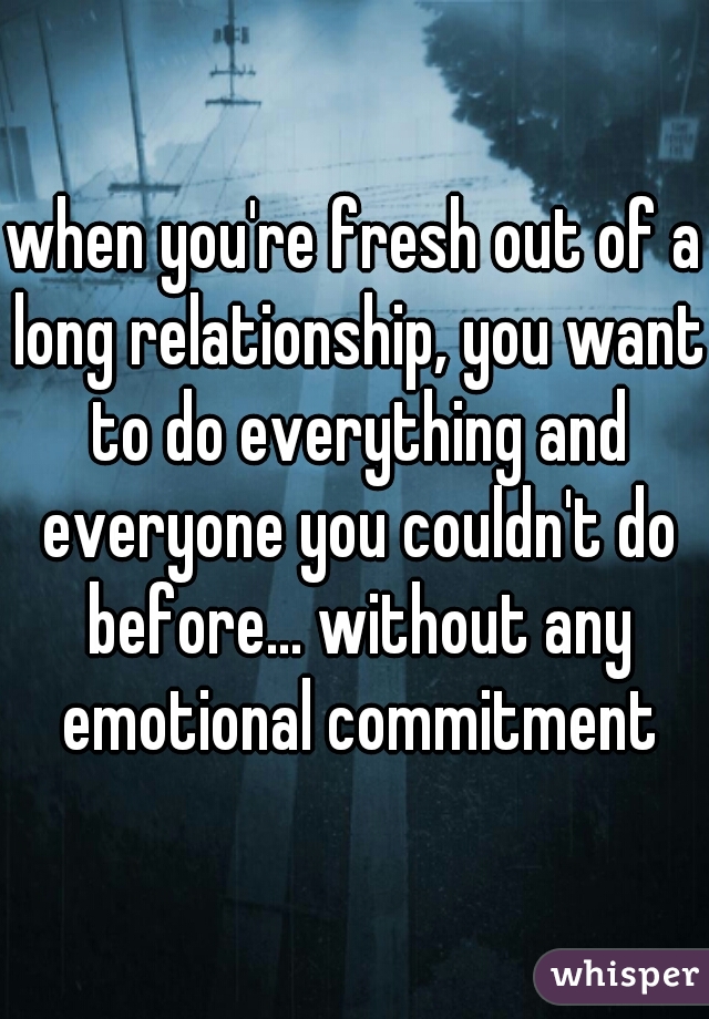 when you're fresh out of a long relationship, you want to do everything and everyone you couldn't do before... without any emotional commitment