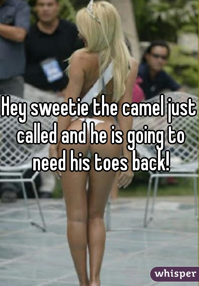 Hey sweetie the camel just called and he is going to need his toes back!