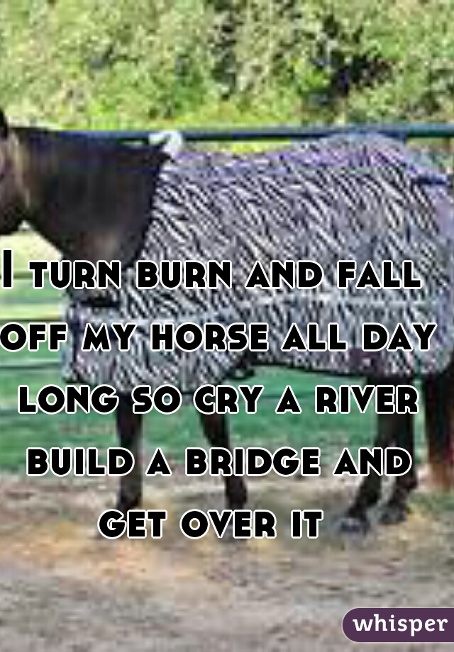 I turn burn and fall off my horse all day long so cry a river build a bridge and get over it 