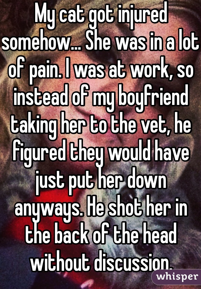 My cat got injured somehow... She was in a lot of pain. I was at work, so instead of my boyfriend taking her to the vet, he figured they would have just put her down anyways. He shot her in the back of the head without discussion. 