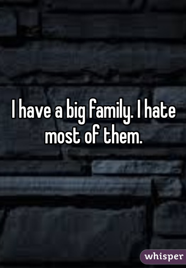 I have a big family. I hate most of them.
